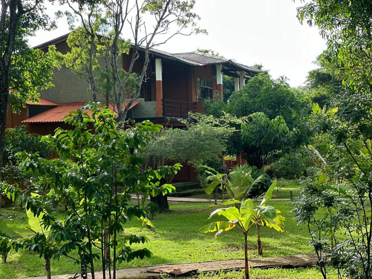 Sigiriya Cottage エクステリア 写真