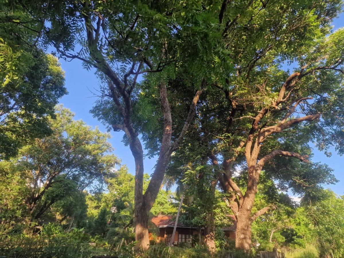 Sigiriya Cottage エクステリア 写真