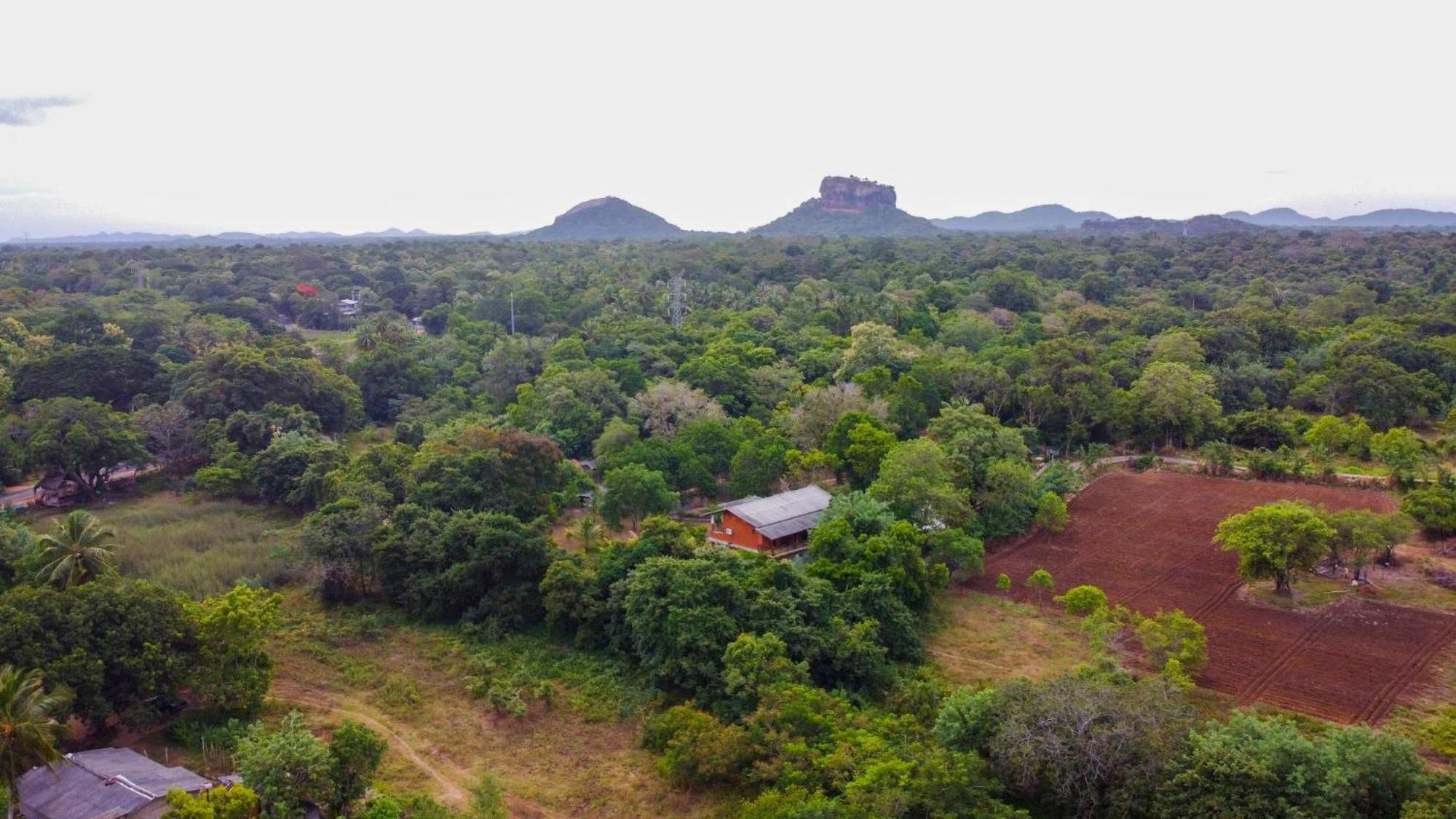 Sigiriya Cottage エクステリア 写真